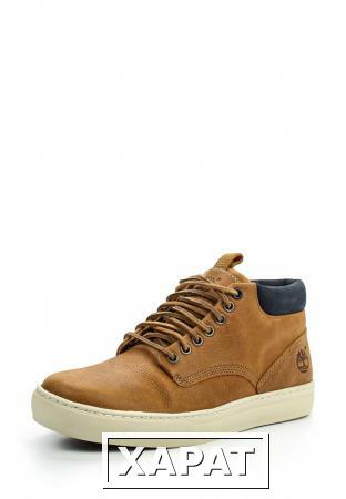 Фото Timberland Timberland TI007AMLTP42