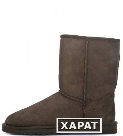 Фото UGG Australia 5800 cho