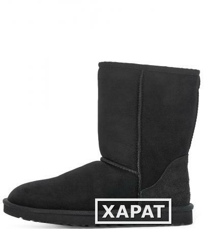 Фото UGG Australia 5800 blk