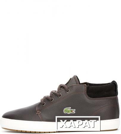 Фото Lacoste 730SPM0002DB2T