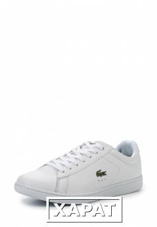 Фото Lacoste Lacoste LA038AMHSE05