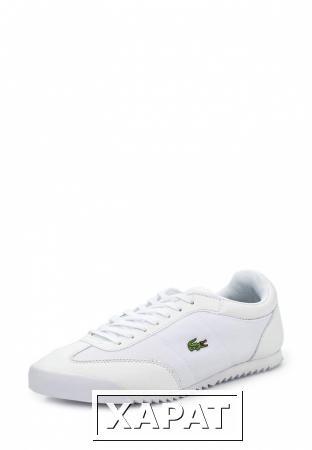 Фото Lacoste Lacoste LA038AMHSD72