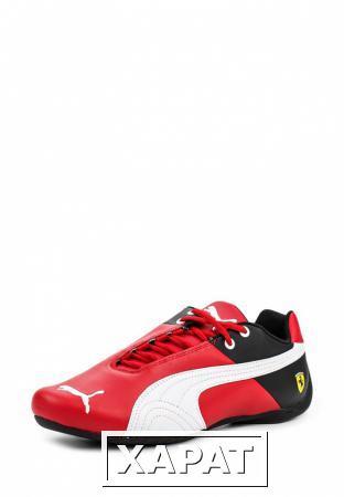 Фото Puma Puma PU053AUKNT94