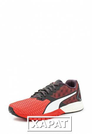 Фото Puma Puma PU053AMKNT15