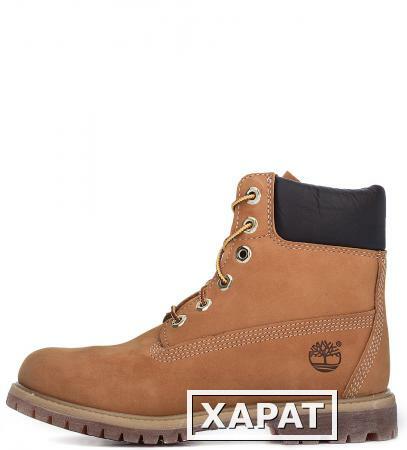 Фото Timberland TBL8226AW