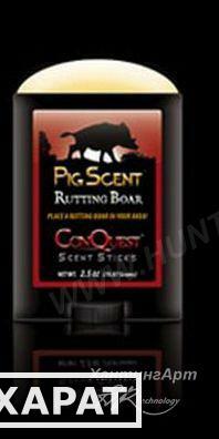Фото Приманка на кабана PigScent, стик 71 гр ConQuest Запахи доминантный самец