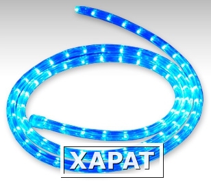 Фото Светодиодные дюралайт LED-DL13-2W