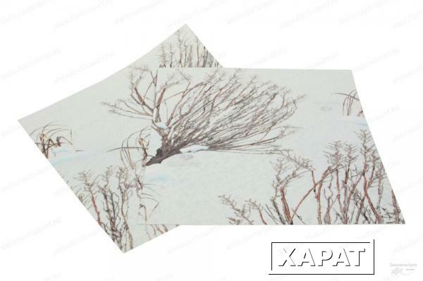 Фото Термо пленка на оптику Mossy Oak Цвет Mossy Oak® Winter Brush