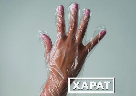 Фото Одноразовые перчатки полиэтиленовые (100 шт/упк / Полиэтилен / M / прозрачный)
