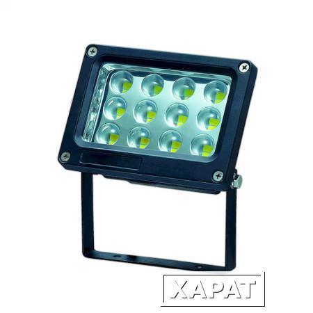 Фото Прожектор светодиодный 357188 NT15 027 чёрный IP65 12LED*1W 12W 220V ARMIN | 0035096 NOVOTECH