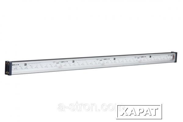 Фото GALAD Вега LED-40-Spot/Blue