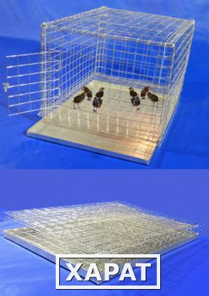 Фото Клетка для перепелов и подращивания птенцов разборная, малая