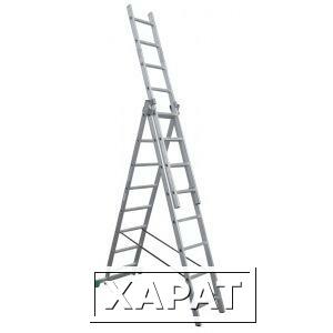 Фото Алюминиевая трехсекционная лестница 3х8 ступеней россия 97781