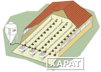 Фото Оснащение птицеводческих комплексов