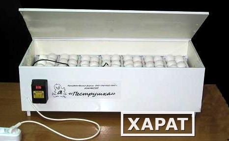 Купить Инкубатор В Курске Магазины Адреса