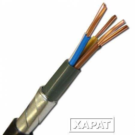 Фото Силовой бронированный медный кабель ВБШвнг(А) 5х4 (N. PE) - 0.66 однопроволочный|7019 Конкорд