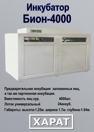 Фото Инкубатор БИОН-4000