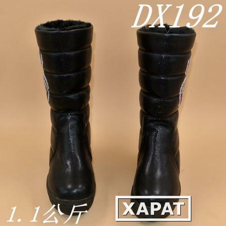 Фото Женские сапоги DX192