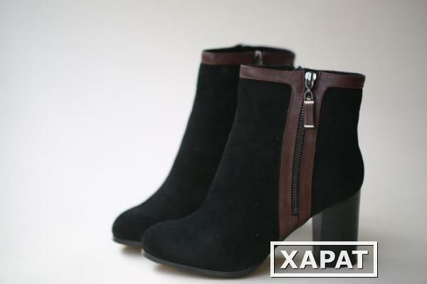 Фото Женские сапоги BOOTS