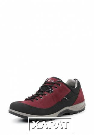 Фото ECCO ECCO MP002XW00J4C