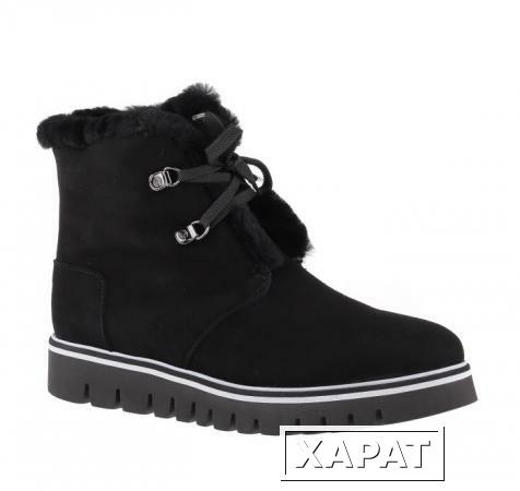 Фото BALDININI Замшевые черные зимние ботинки на шнуровке от бренда Baldinini