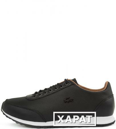 Фото Lacoste 731CAW0110024T