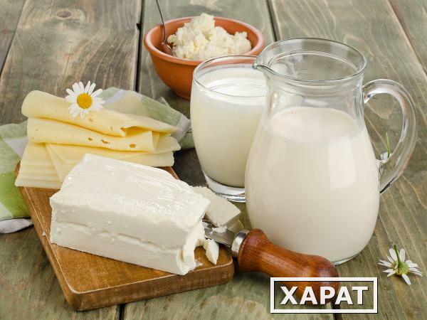 Фото Молочные продукты из горного Алтая оптом и мелким оптом