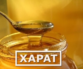 Фото Мёд и всевозможные продукты из мёда
