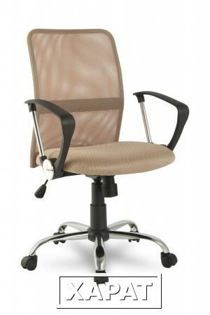 Фото Кресло REALCHAIR COLLEGE H-8078F-5/Beige