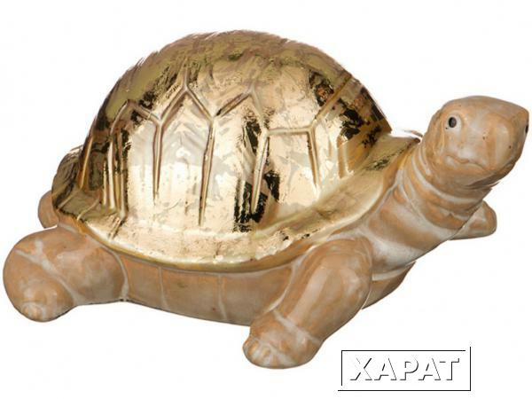 Фото Фигурка "черепаха" 21*17 см.высота=10 см. Hebei Grinding (180-779)
