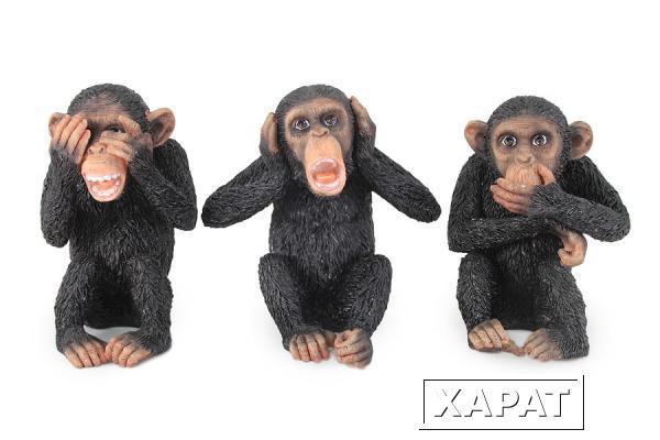 Фото Композиция из 3-х статуэток Три обезьяны Veronese ( VWU76437YAAL )