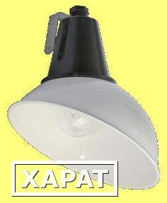 Фото Подвесной светильник НСП17-100-106 лампа Е27, 100Вт, корпус из полиамида, открытый отражатель, кососвет | арт. 1017100106 | АСТЗ