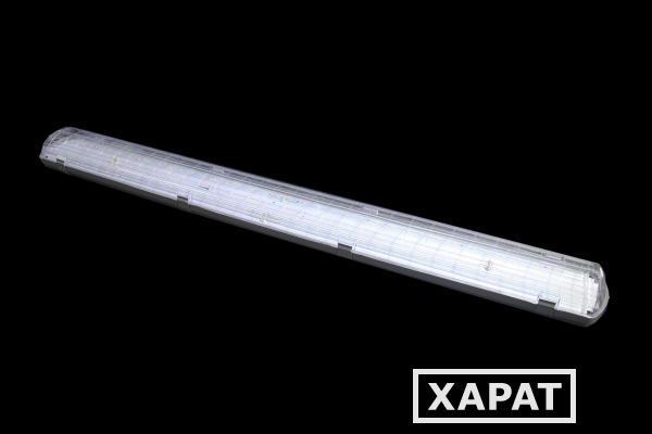 Фото Светодиодный светильник LXP-LED-ЛСП-XX-040-236-XX