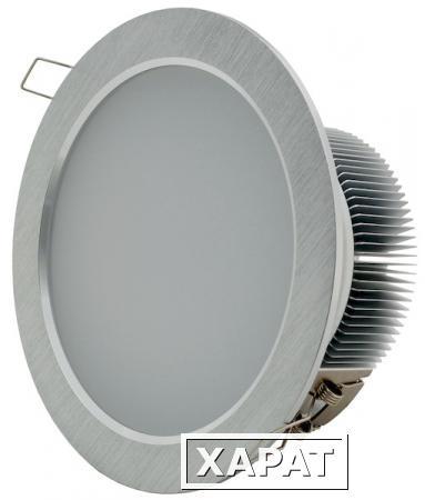 Фото Светодиодный светильник "Downlight" 19вт 3000K 1810лм IP40 УХЛ4 | TRD19-28-W-01 (1..10V) НОВЫЙ СВЕТ