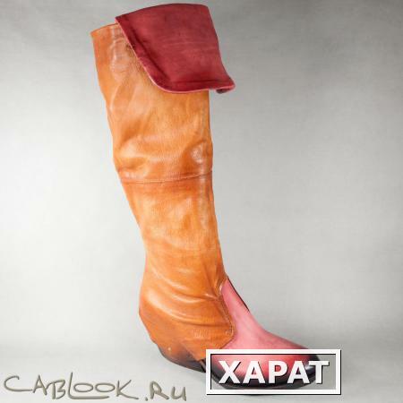 Фото AirStep AirStep казаки женские 737306