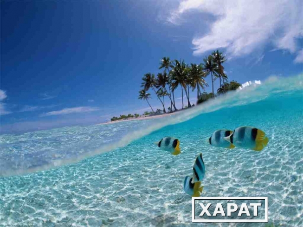 Фото Туристическая компания Калипсо Плюс Алматы приглашает на Бали — «Остров богов»