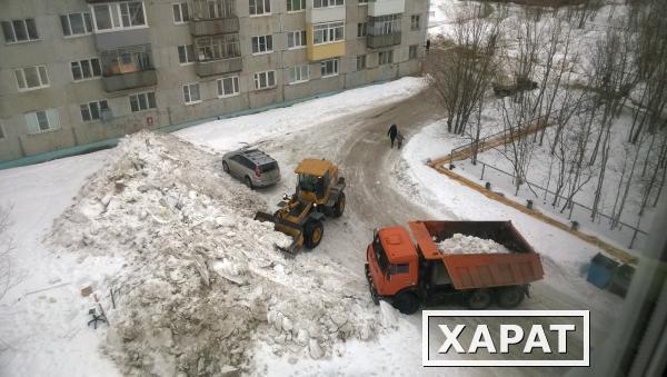 Фото Уборка дворовой территории от снега