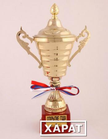 Фото Кубок "открытие года " высота=35 см. (197-510-8)
