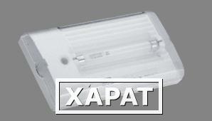 Фото Аварийный светильник LUNA EFS 45 цоколь G5, 1х4Вт, IP22 | арт. 600000045 | Световые Технологии