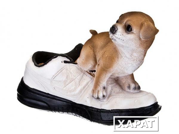 Фото Кашпо "щенок с кроссовкой" 30,5*12,5*21 см Hong Kong (155-061)