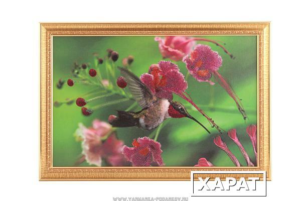 Фото Картина колибри, стразы,55х35см