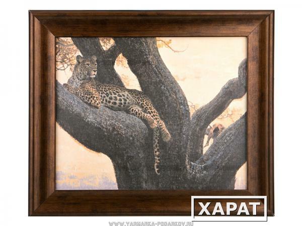 Фото Картина леопард на дереве 35х26см.