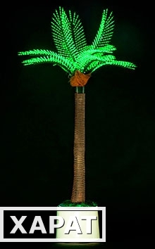 Фото Светодиодная пальма P1-210x120