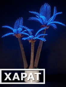 Фото Три светодиодные пальмы P3-210x120