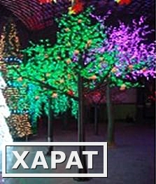 Фото Светодиодное дерево Яблоня NAP-350x270-1281LED