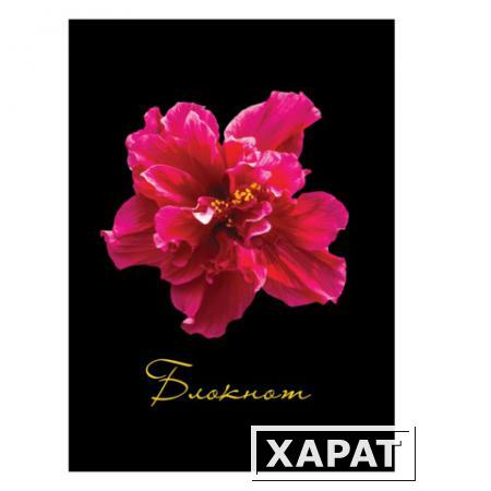 Фото Блокнот 7БЦ, А6, 80 л., обложка ламинированная, клетка, STAFF, "Красный цветок на черном", 110х147 мм