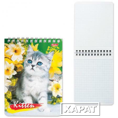 Фото Блокнот А6, 40 л., гребень, лакированная обложка, HATBER, "Милые котята", 110х145 мм