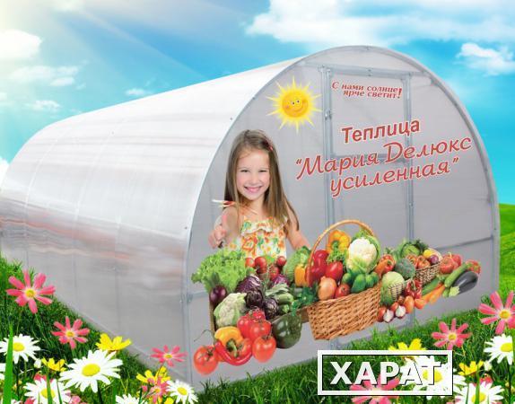 Фото Теплица "Мария Делюкс Усиленная" с поликарбонатом