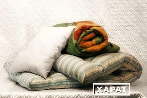 Фото Постельный набор "ЭКОНОМ-1", матрас+одеяло+подушка