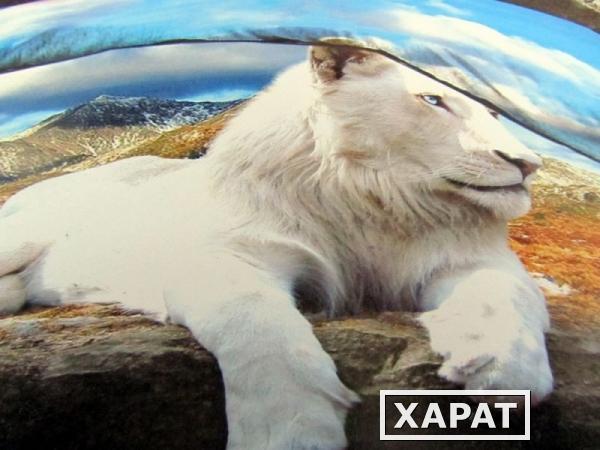 Фото Комплект постельного белья «Белый лев» 1,5-сп, 3Д сатин